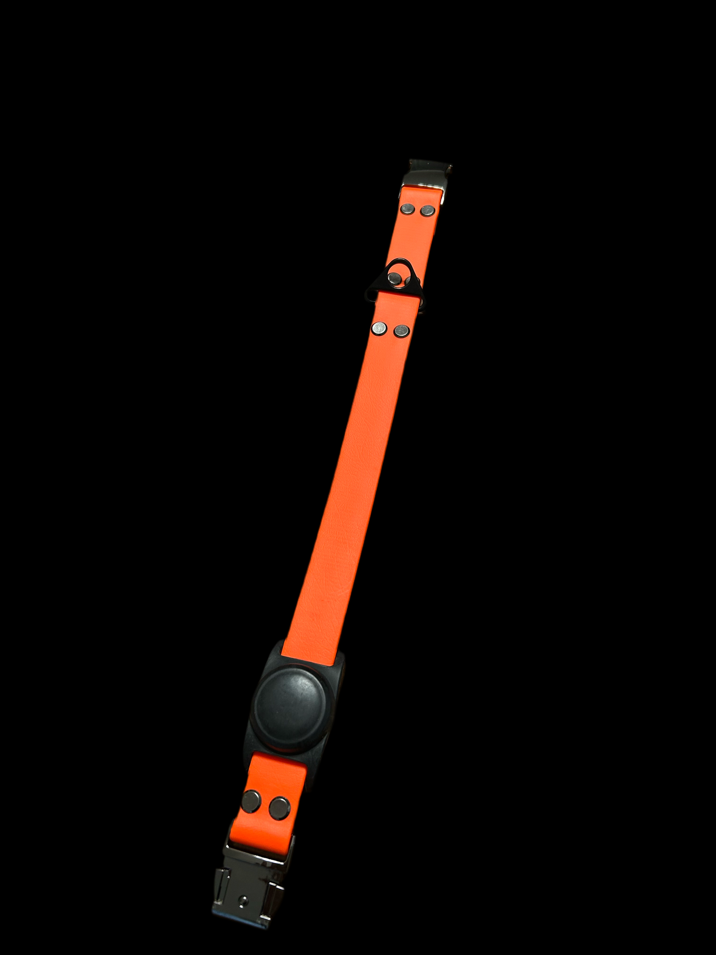 Custom Collar